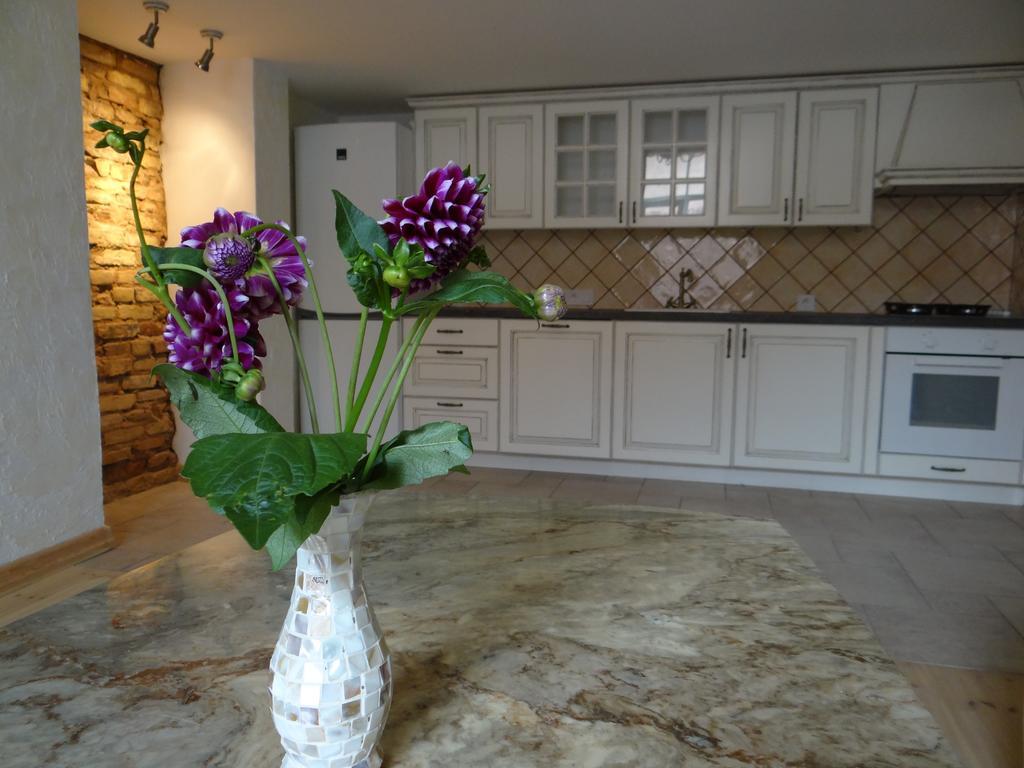 Provence Home Vilnius Phòng bức ảnh