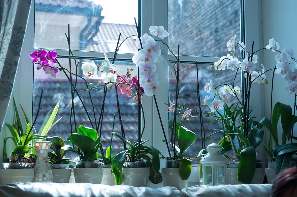 Provence Home Vilnius Ngoại thất bức ảnh